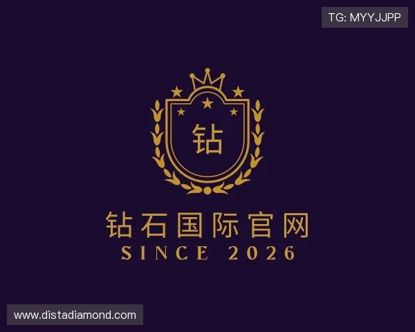 介绍钻石国际官网